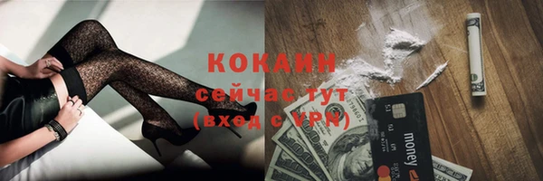 амф Гусь-Хрустальный