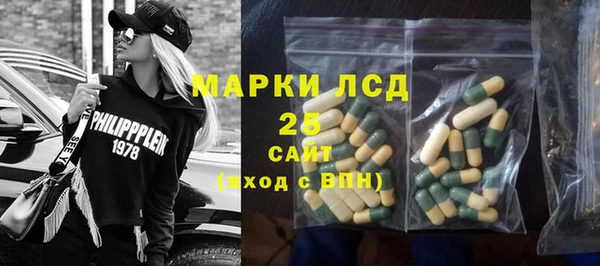 амф Гусь-Хрустальный