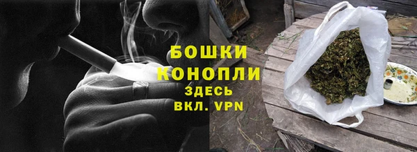 амф Гусь-Хрустальный